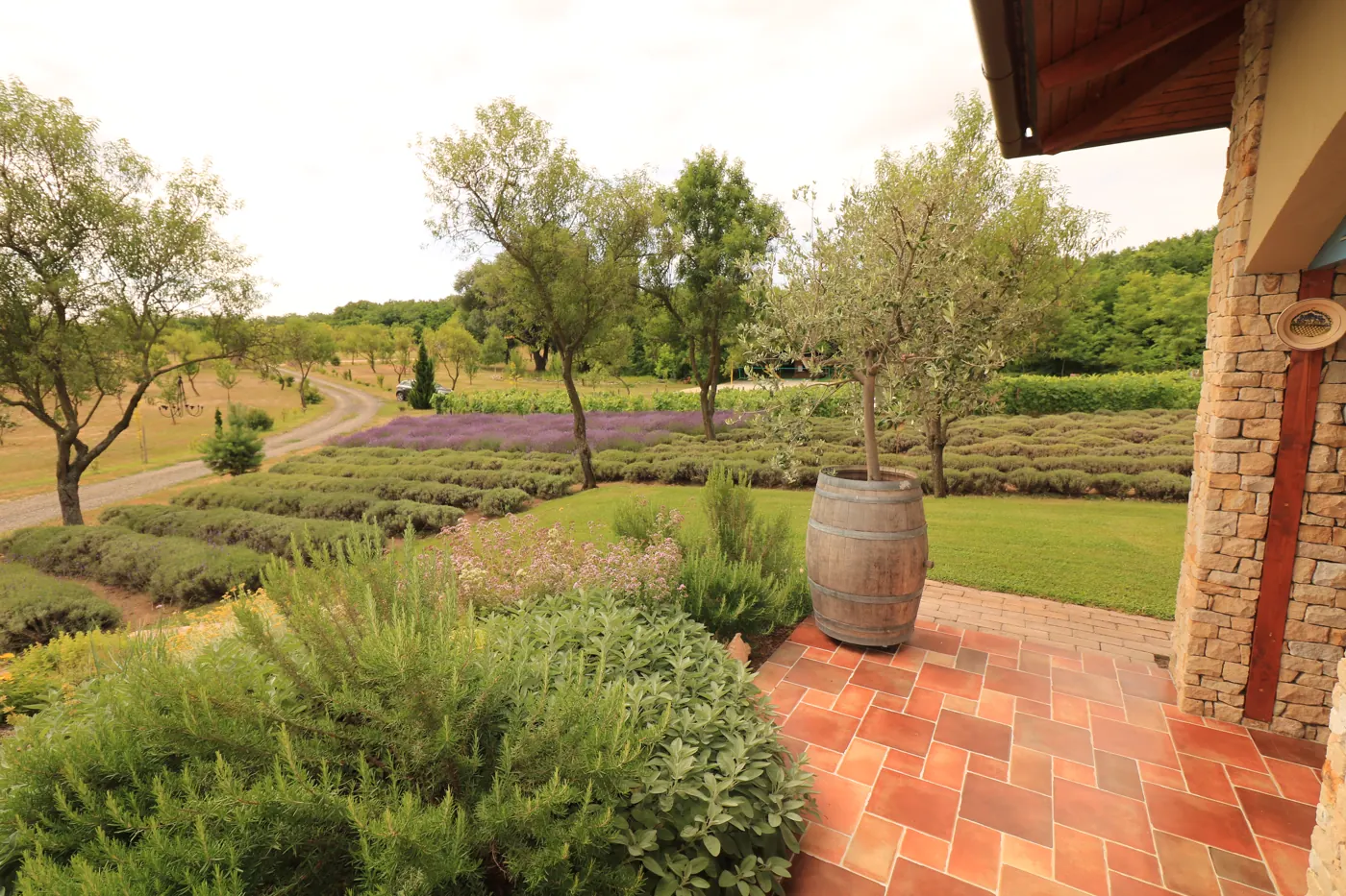 Flóra Farm — mediterrán családi ház, Őrbottyán — Őrbottyán (16. nézet)